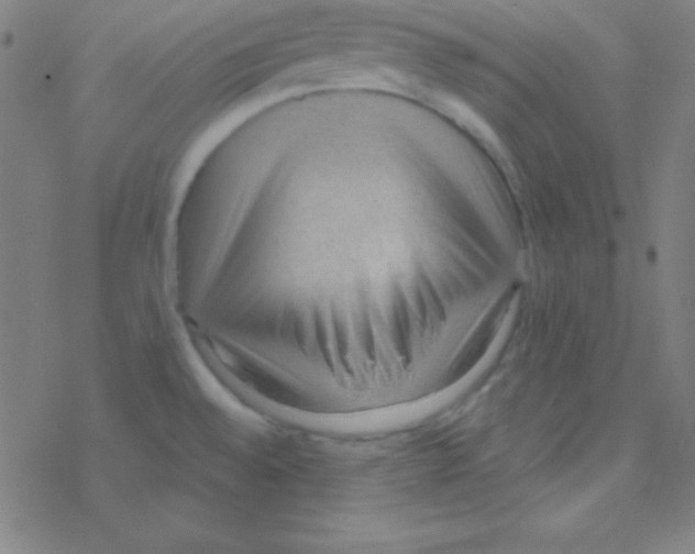 X0000076221528200611012051