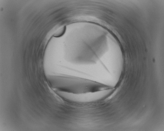 X0000076221529200611012051