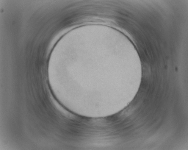 X0000076221531200611012051