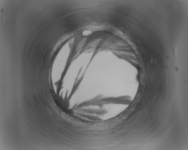 X0000076220011200611161011