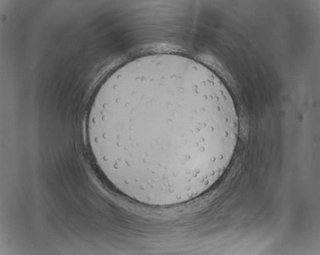 X0000076220014200611161010