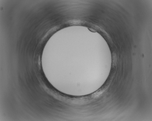 X0000076220024200611161010
