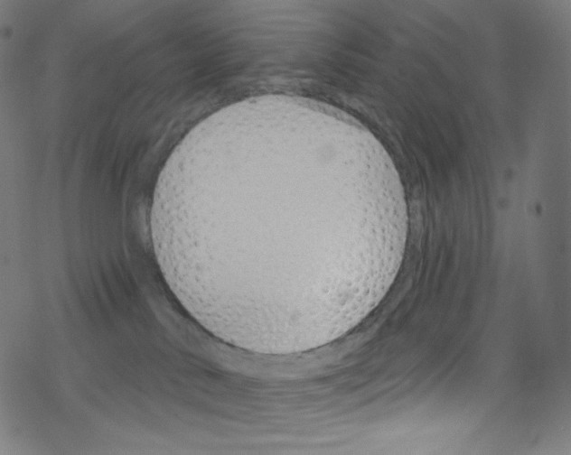 X0000076220042200611161010