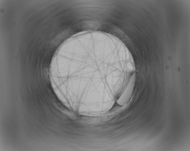 X0000076220045200611161010