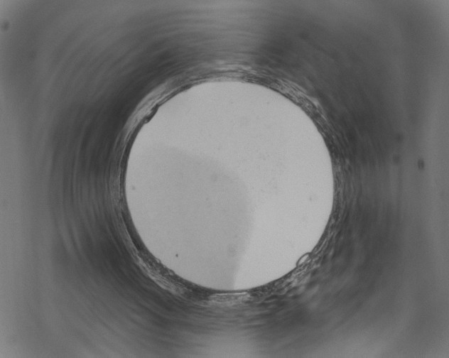X0000076220051200611161009