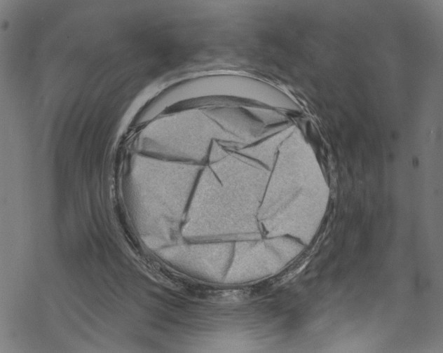 X0000076220056200611161009