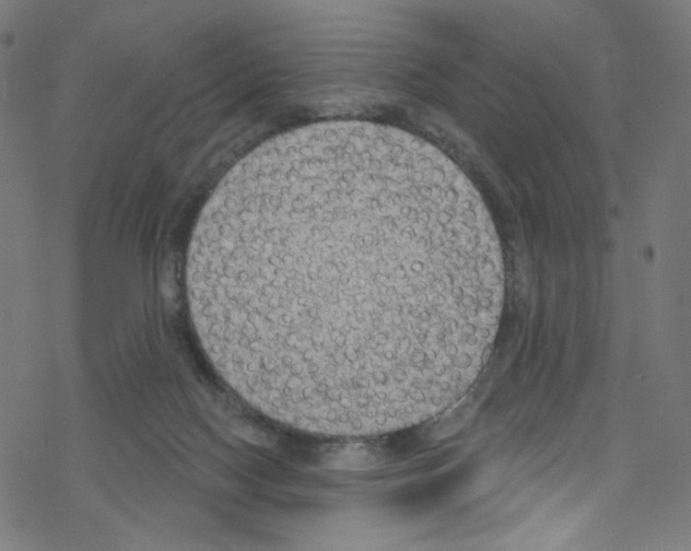 X0000076220074200611161010