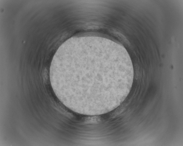 X0000076220077200611161010