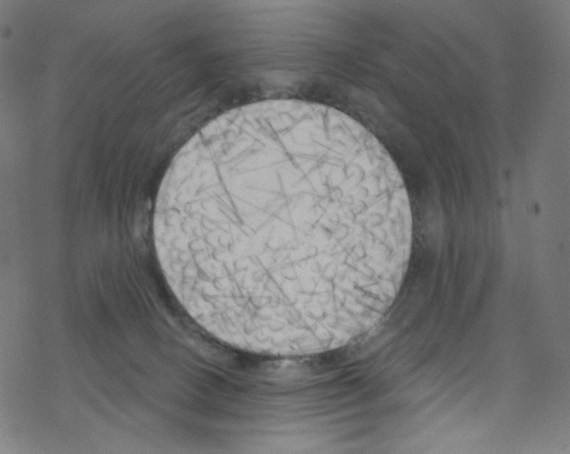 X0000076220082200611161010