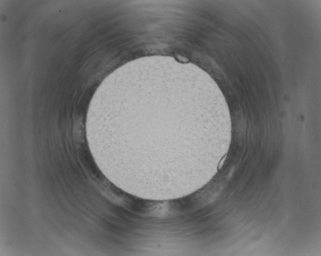 X0000076220083200611161010
