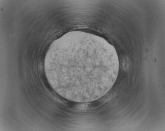 X0000076220084200611161010