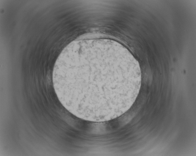 X0000076220085200611161010