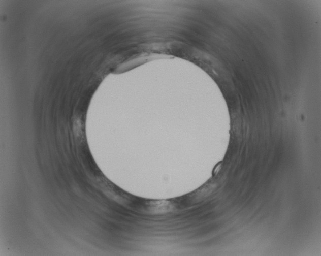 X0000076220087200611161010