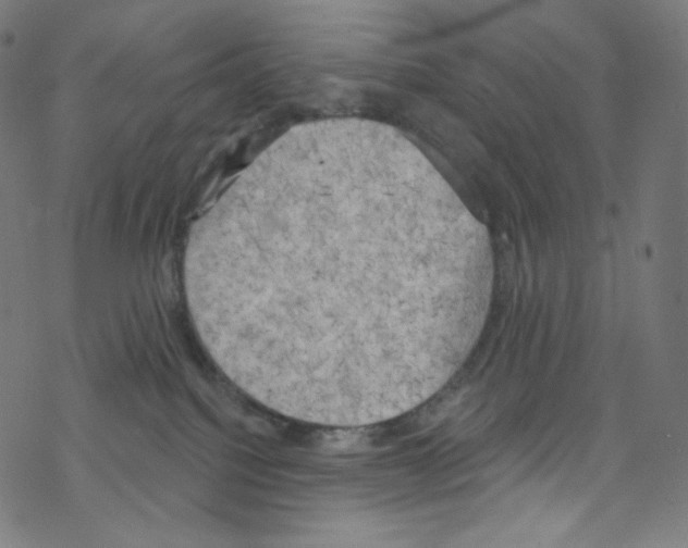 X0000076220088200611161010