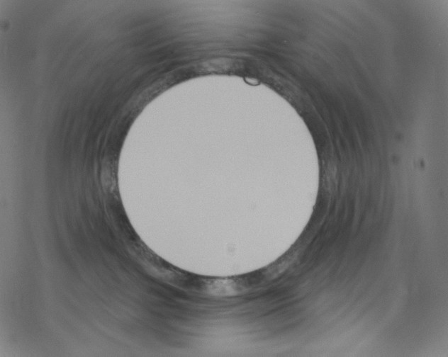 X0000076220091200611161010