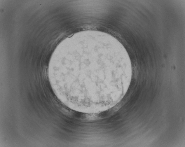 X0000076220093200611161010