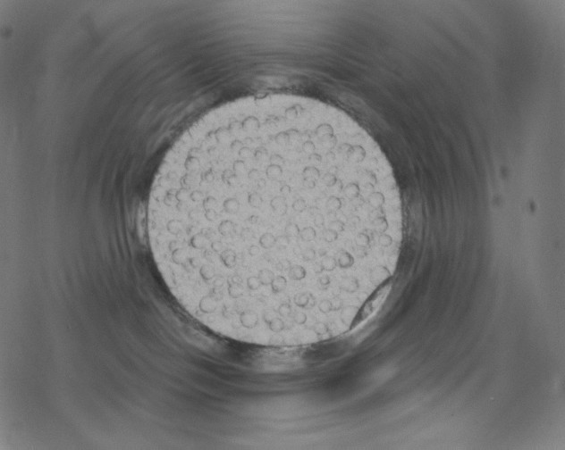 X0000076220094200611161010