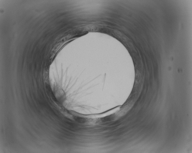 X0000076220096200611161010