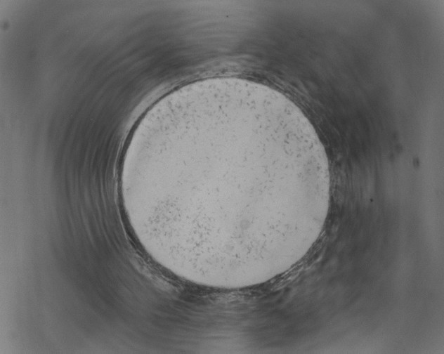 X0000076220100200611161009