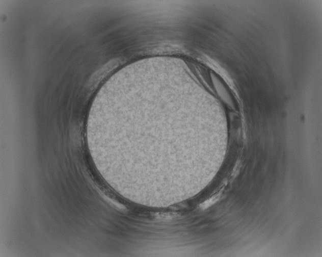 X0000076220105200611161009