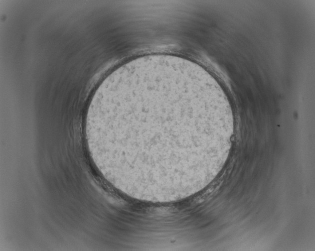 X0000076220107200611161009