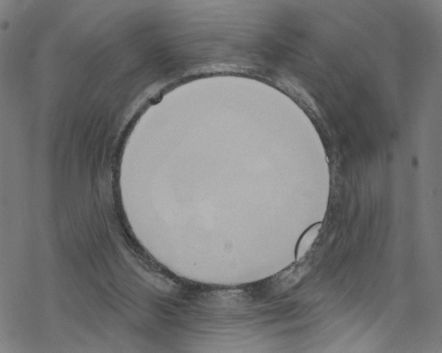 X0000076220108200611161009