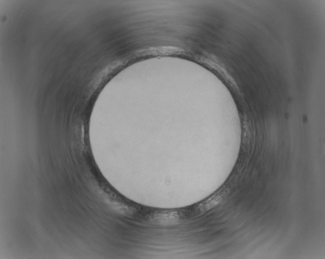 X0000076220110200611161009
