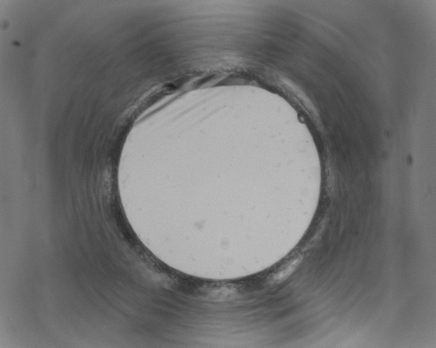 X0000076220113200611161009