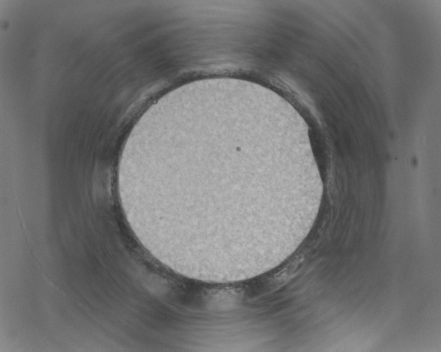 X0000076220115200611161009