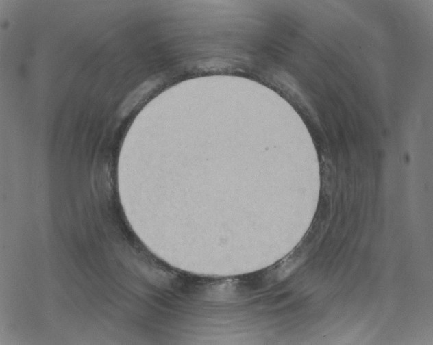 X0000076220116200611161009