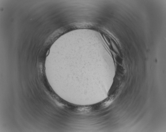 X0000076220117200611161009