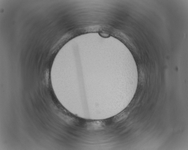 X0000076220118200611161009