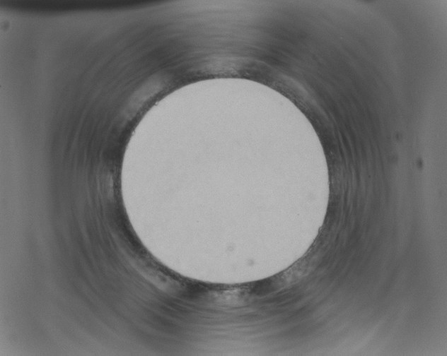 X0000076220120200611161009
