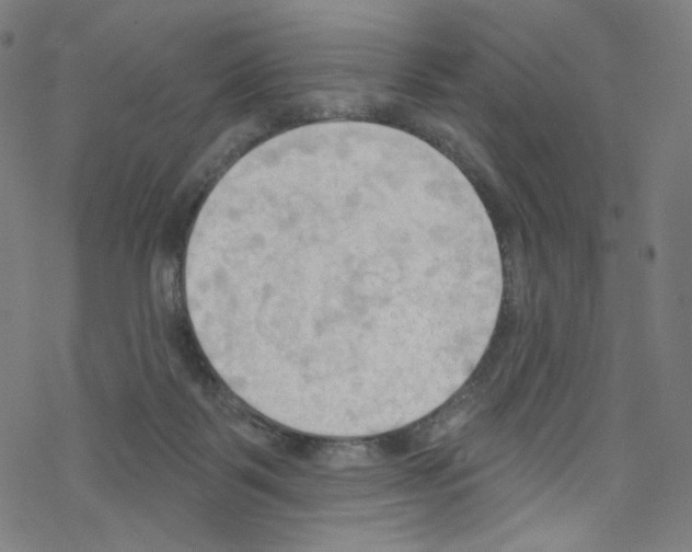 X0000076220123200611161009