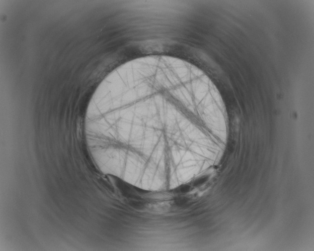 X0000076220125200611161009