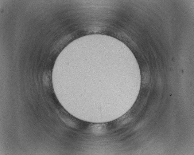 X0000076220126200611161009