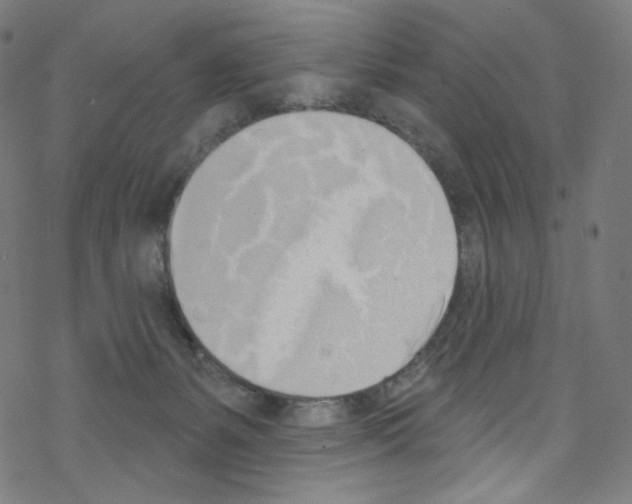 X0000076220127200611161009
