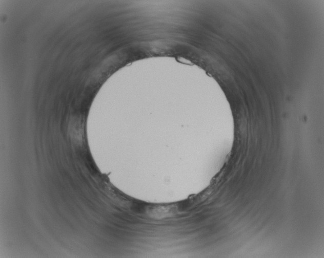 X0000076220129200611161009