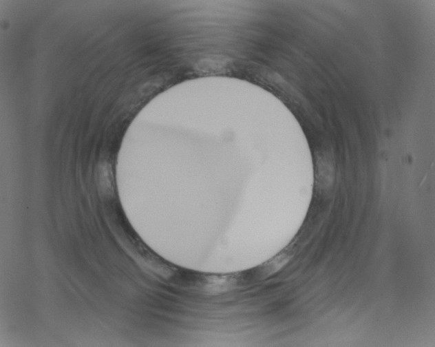 X0000076220130200611161009