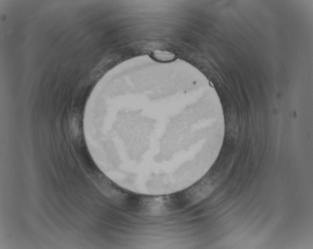 X0000076220131200611161009