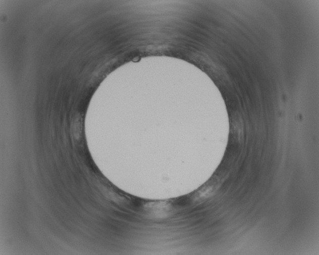 X0000076220133200611161009