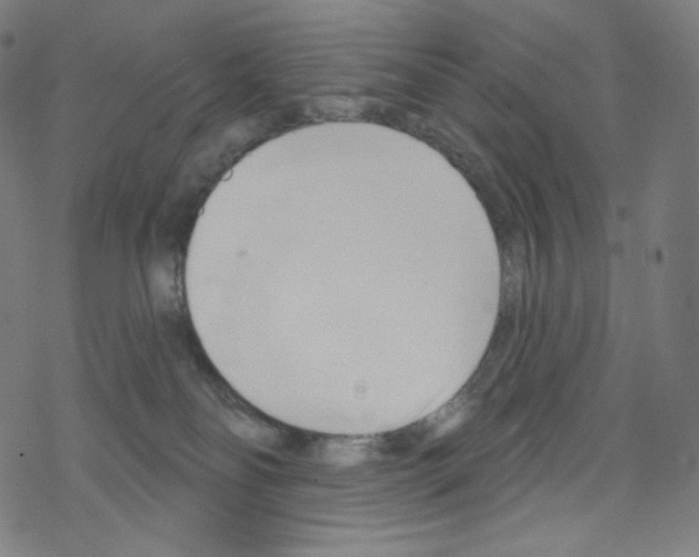 X0000076220134200611161009