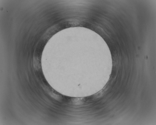 X0000076220136200611161009