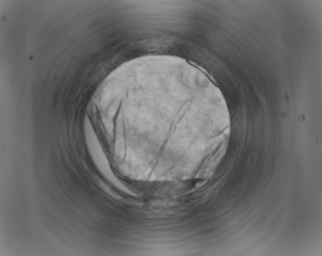 X0000076220137200611161008