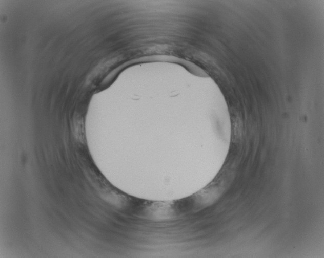 X0000076220138200611161008
