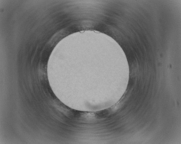X0000076220140200611161008