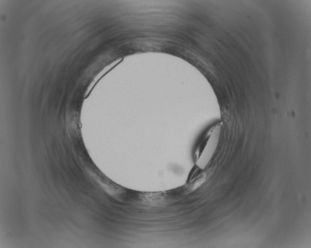 X0000076220141200611161008
