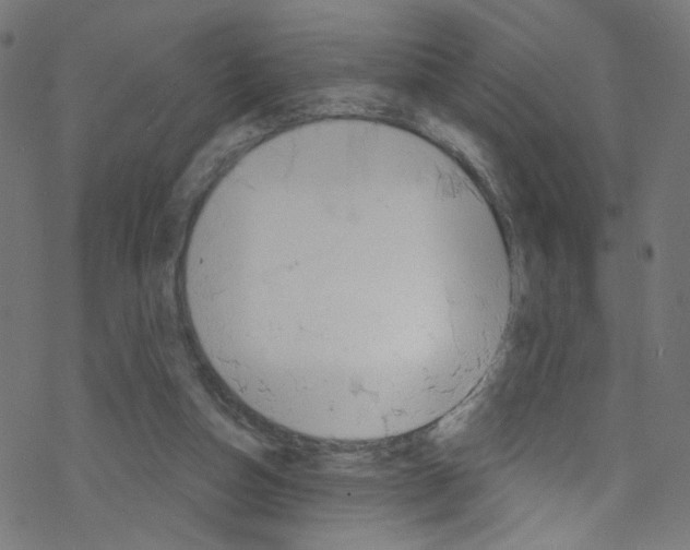 X0000076220162200611161008