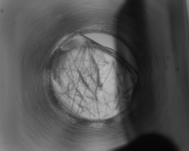 X0000076220168200611161008