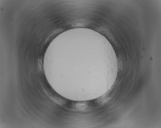 X0000076220171200611161008